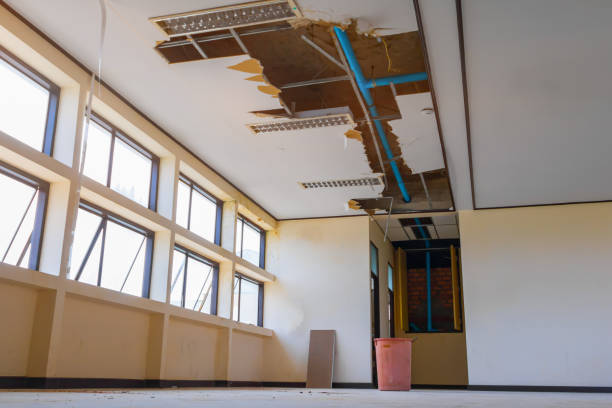 Best Fire Damage Restoration  in Lexington, WA