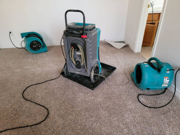 Best Water damage restoration specialists  in Lexington, WA