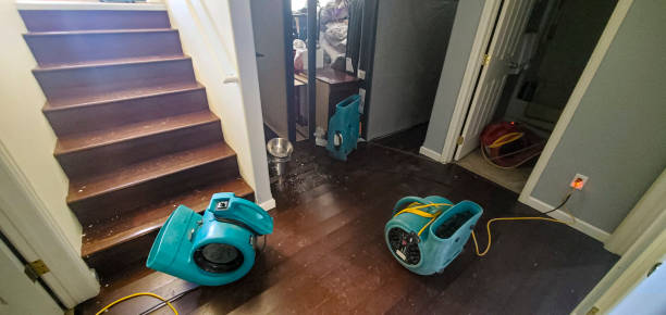Trusted WA Water damage restoration Experts