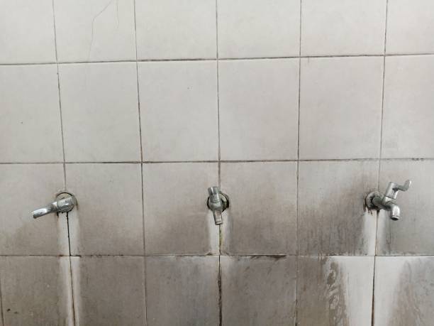 Best Local water damage restoration  in Lexington, WA