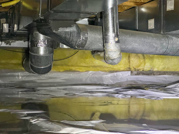 Best Flooded house restoration  in Lexington, WA