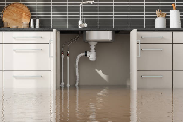 Best Fire Damage Restoration  in Lexington, WA