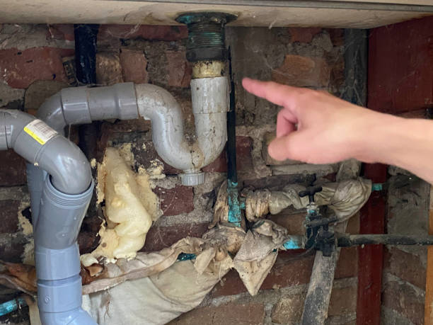 Local water damage restoration in WA